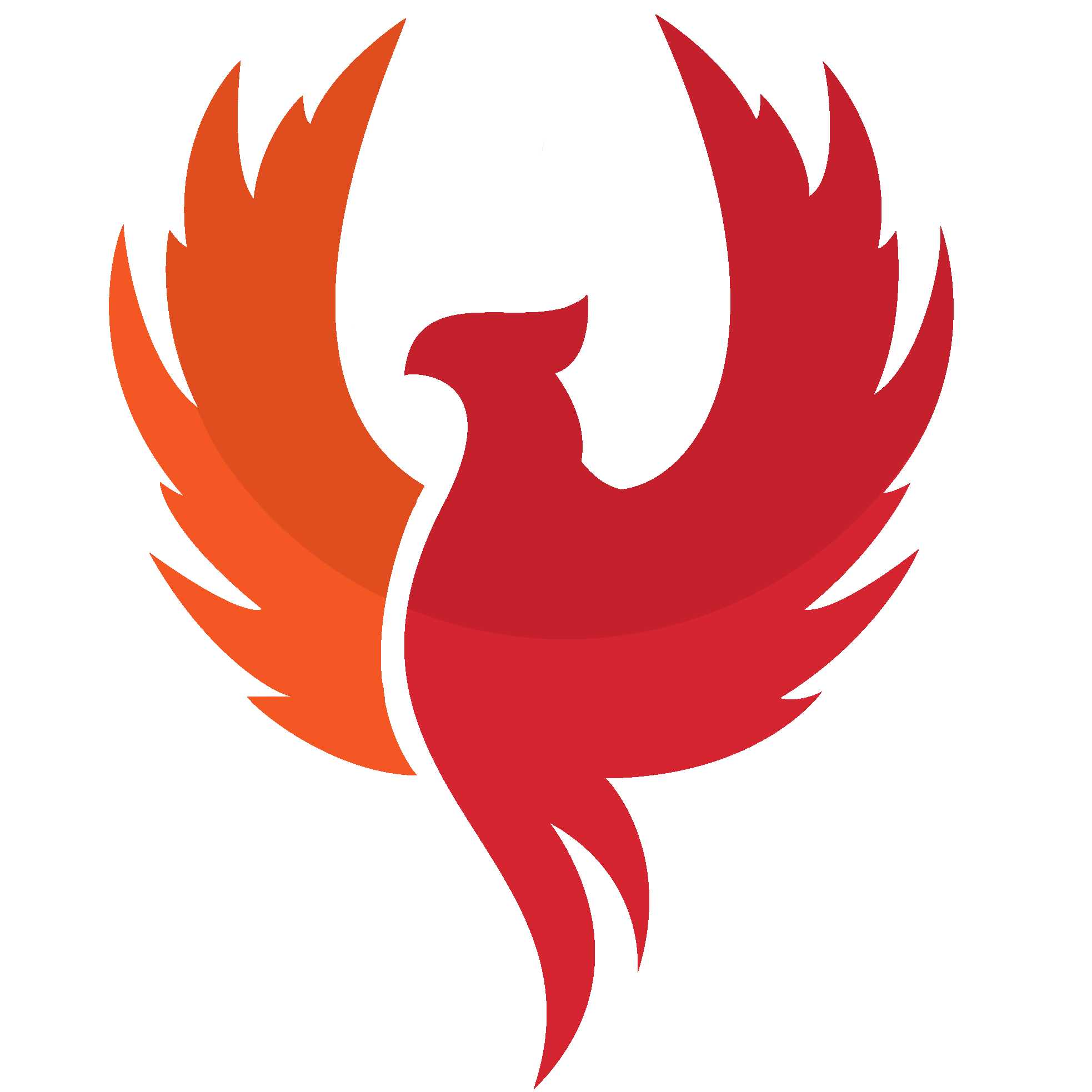 Team Fly Phoenix